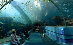 世界上最大的水族館排名，中國有兩處上榜