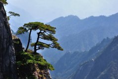 黃山市有什么好玩的景點？黃山市十大旅游景點排名