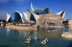 全球六個最大的水族館，真是夢幻的“水世界”