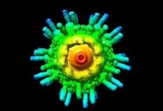 世界上最小的發(fā)動機(jī)：納米發(fā)動機(jī)比鹽粒小500倍