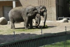 全球10大最神奇的動物園，中國入榜一個！