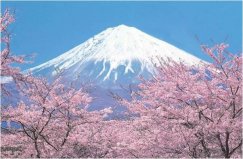 日本最美的自然風(fēng)光：富士山奪冠，你去過幾個(gè)？