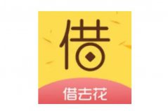 2022小額度1000元秒下款app：口袋花上榜，借去花居首