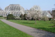 世界十大著名植物園排行榜，柏林植物園位居第九