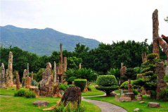 深圳十大城市公園：園博園入榜，仙湖植物園居榜首