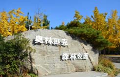 北京必去的10個免費又好玩的公園，北京值得去的免費公園