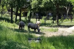 世界十大最佳動(dòng)物園，世界最著名的動(dòng)物園