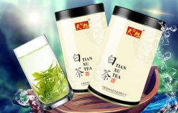 白茶哪個(gè)牌子最好喝？白茶品牌排行榜前十名