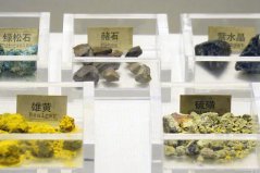 古代宮廷十大補品：海參、魚翅上榜，五色藥石居榜首