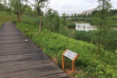 廣州十大公園排行榜，大觀濕地公園位列第一