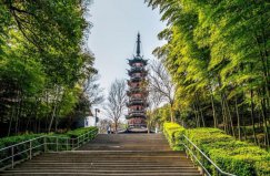 上海著名的六大森林公園，佘山國家森林公園排第一